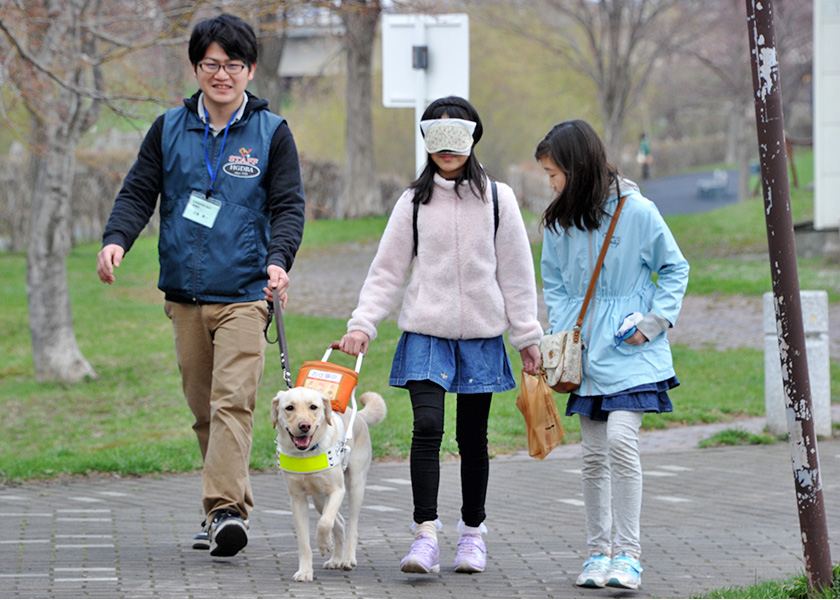 写真：盲導犬